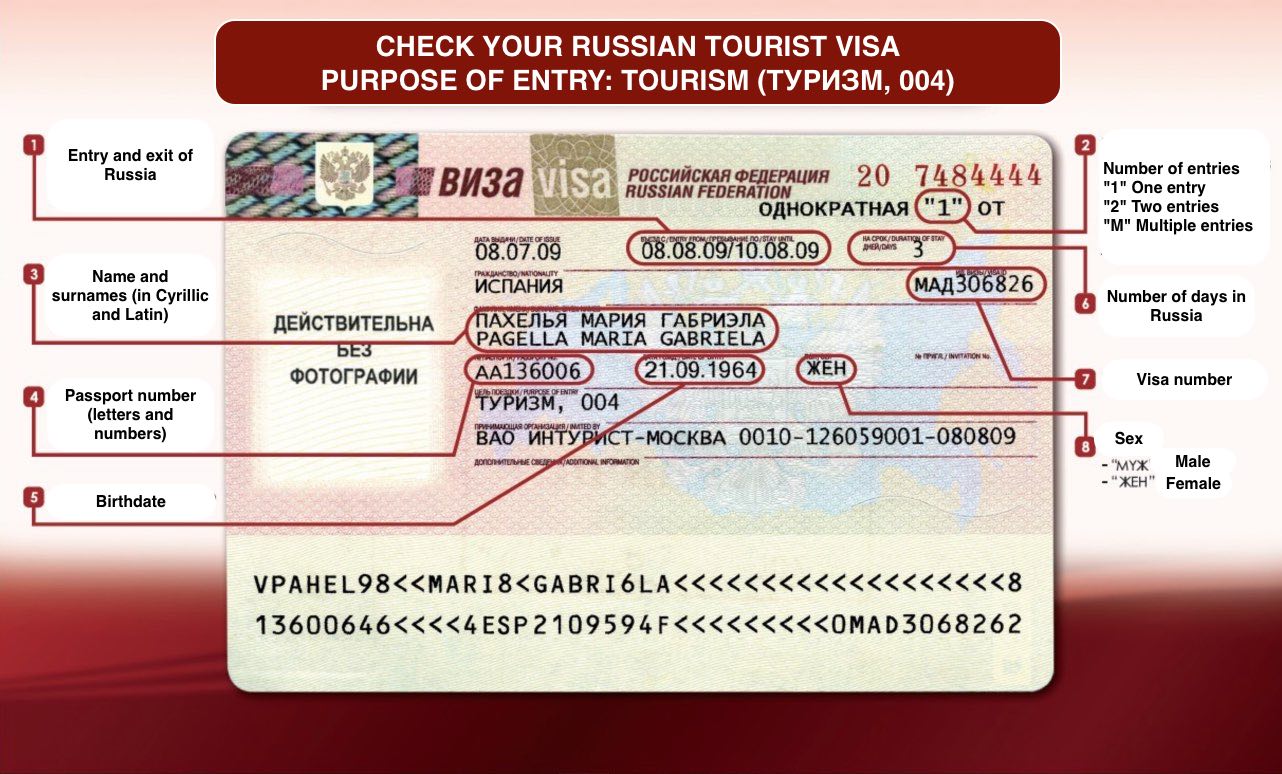 Check Russian visa data