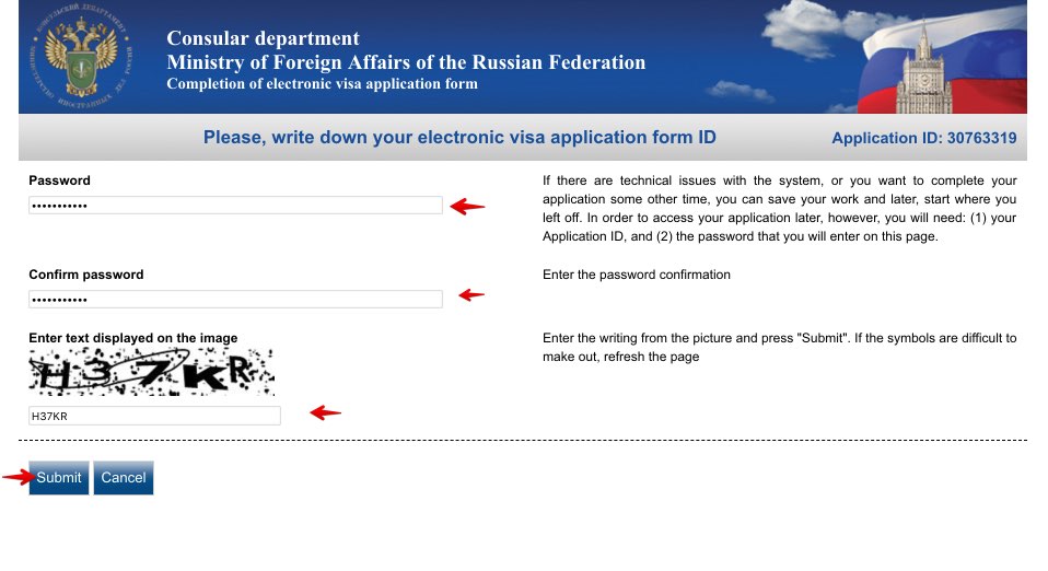 Fill in Russian Visa Application for Chinese Citizen 2