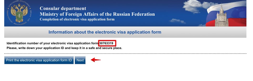 Fill in Russian Visa Application for Chinese Citizen 3